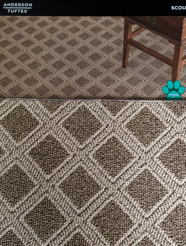 Try Tuftex Carpet for Style and Pet Protection